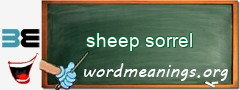 WordMeaning blackboard for sheep sorrel